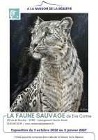 Exposition artistique - La Faune Sauvage